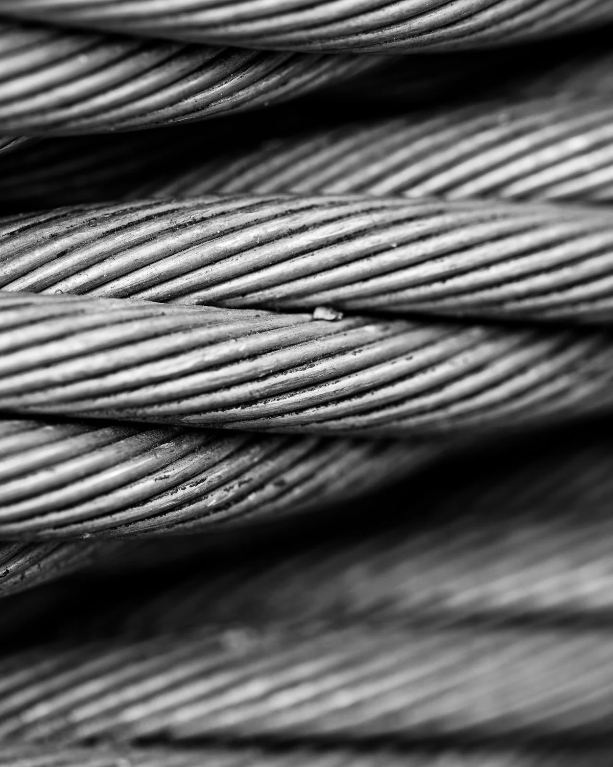 Coiled steel wire ropes seen close up, the individual twisted strands clearly visible.