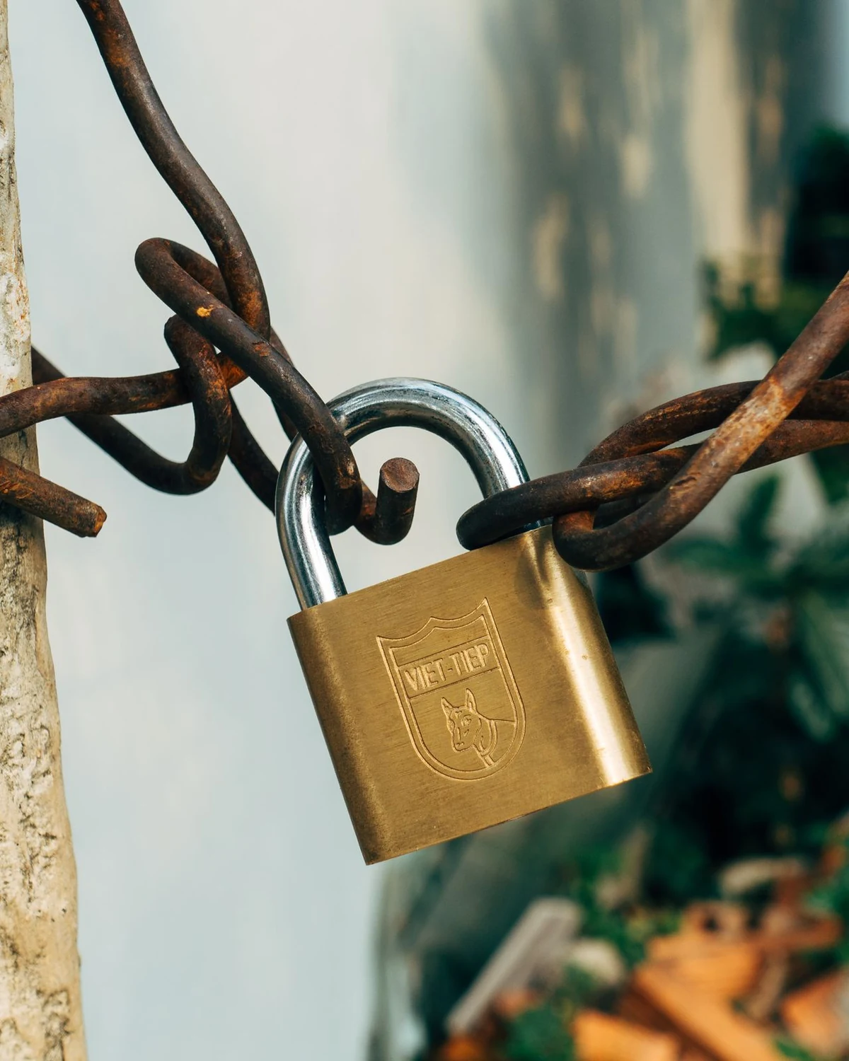 A weathered brass padlock closed through a rusted metal wire against a pale wall.