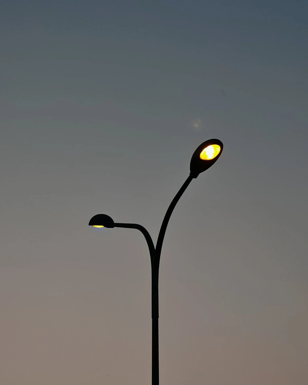 A modern street lamp on its curved pole, the lamp head lit against a pale evening sky.
