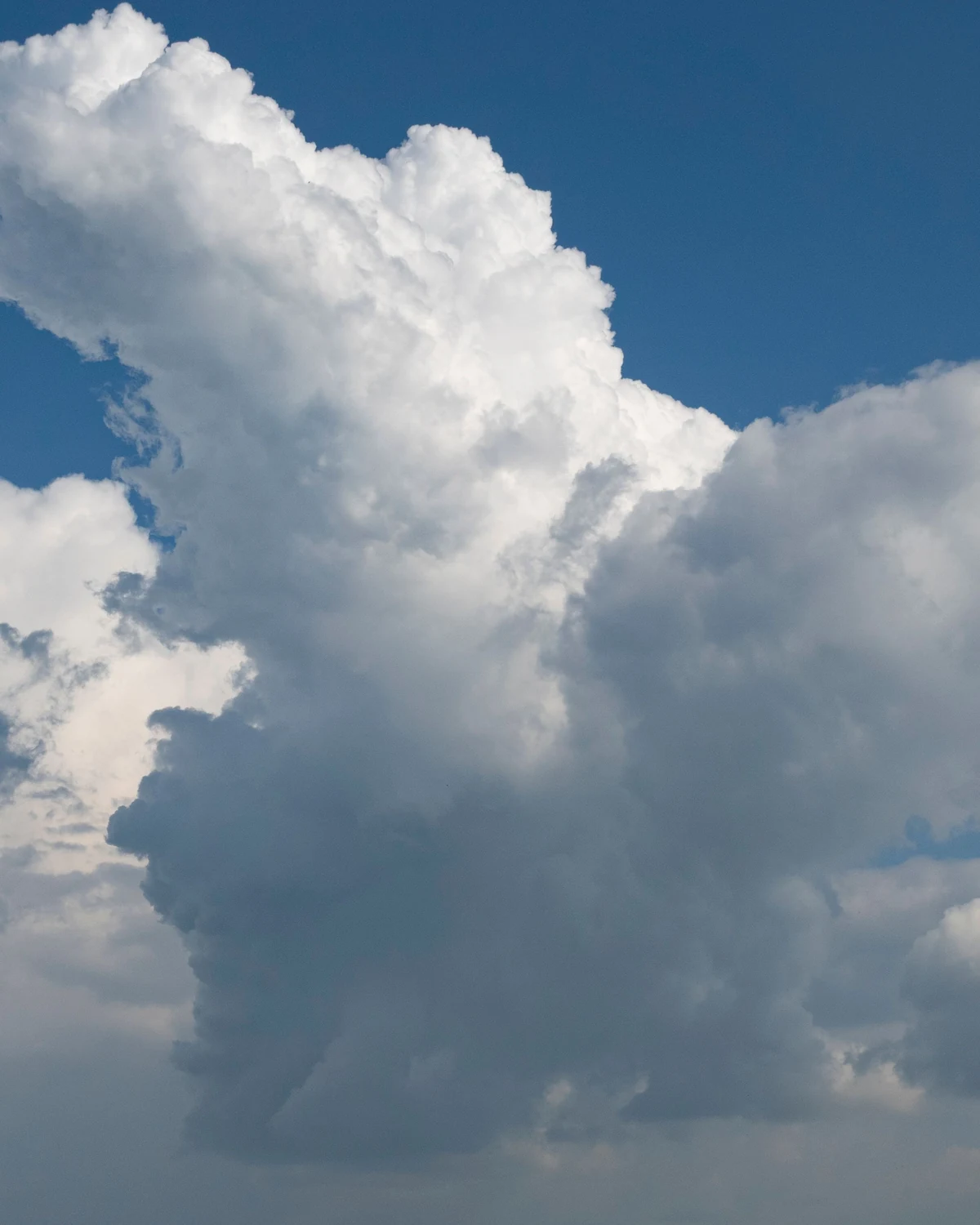 A tall cumulus cloud rising into a bright blue sky.