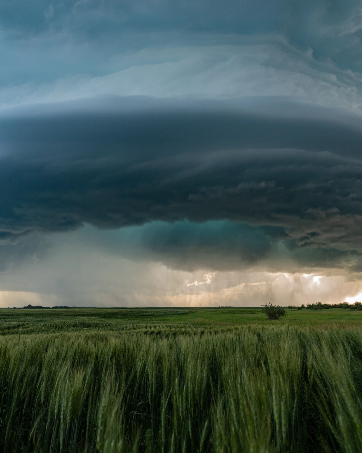 A large rotating supercell storm base over an open green field.