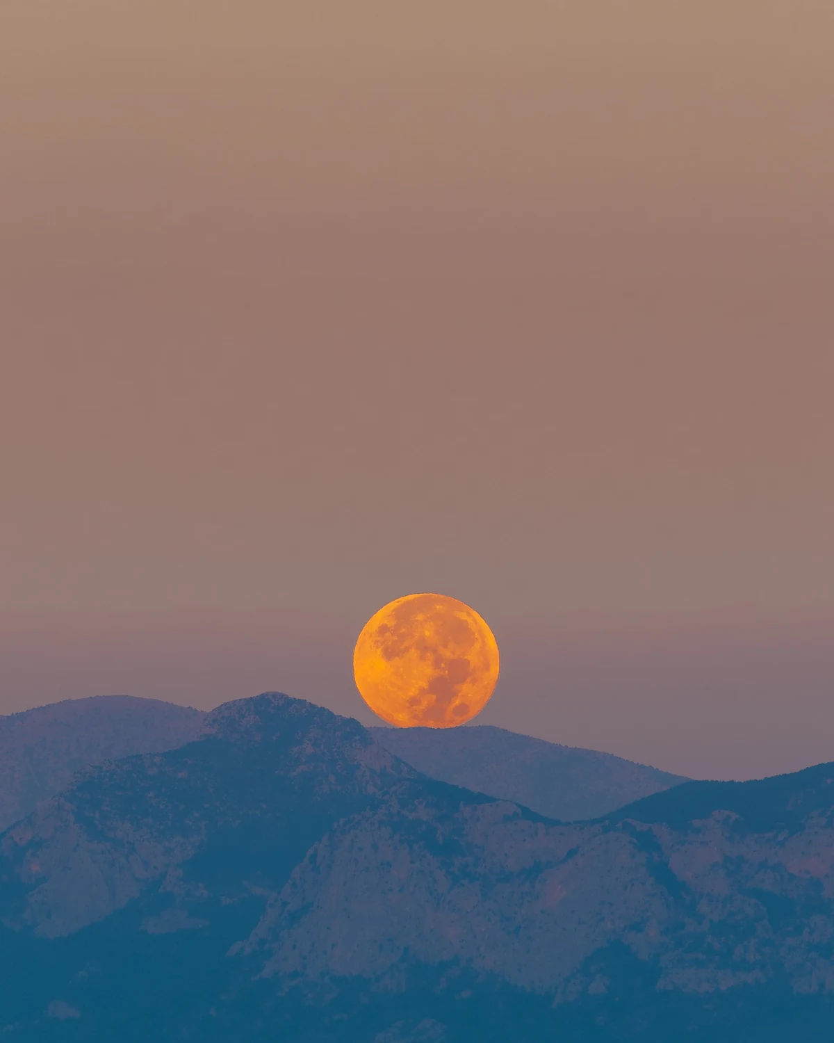 An orange full Moon rising just above a dark blue mountain ridge at dusk.